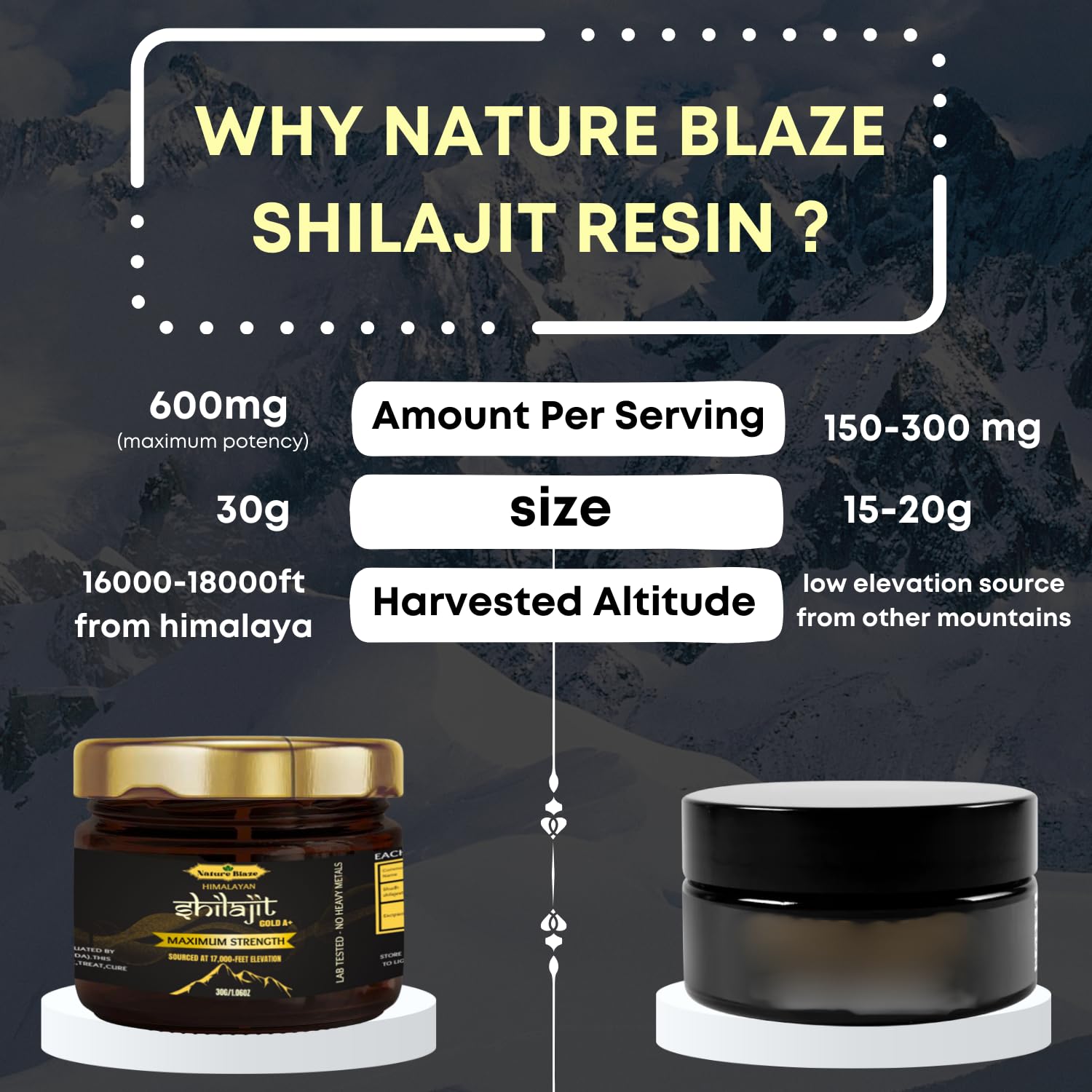 Shilajit del Himalaya (resina, 30 g)