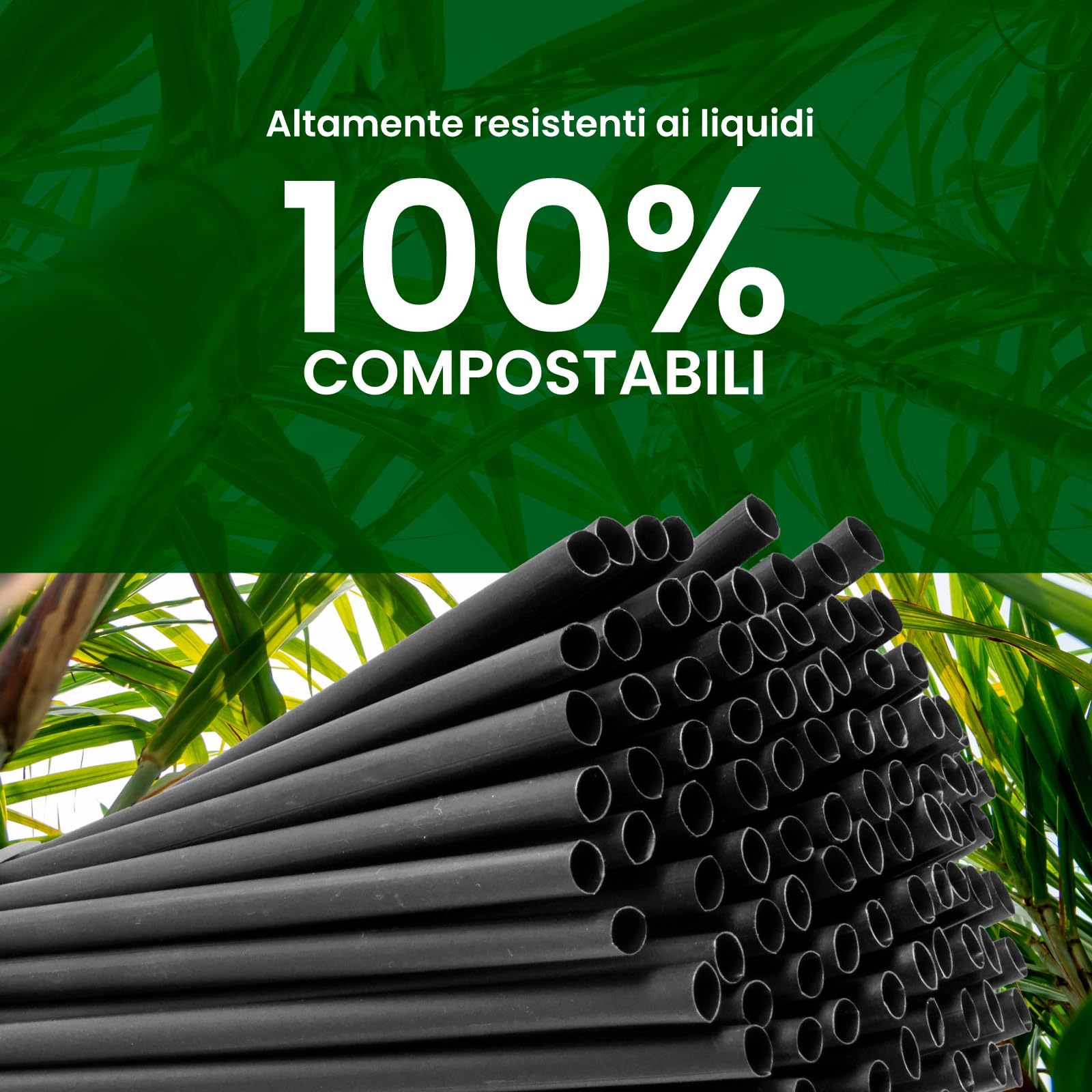 100 Cannucce Rigide e Riutilizzabili 100% Ecologiche e Compostabili - Colore Nero 21cmx6,8mm Lisce e Resistenti - Made in Italy - Eventi Feste Bevande e Cocktail - Baciato Caffè