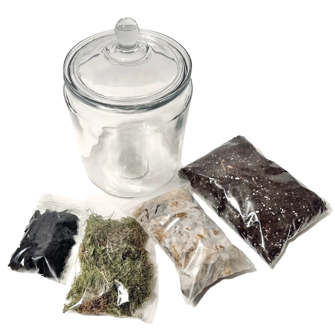 DIY Terrarium Kit, Create Your Own Terrarium Starter Kit