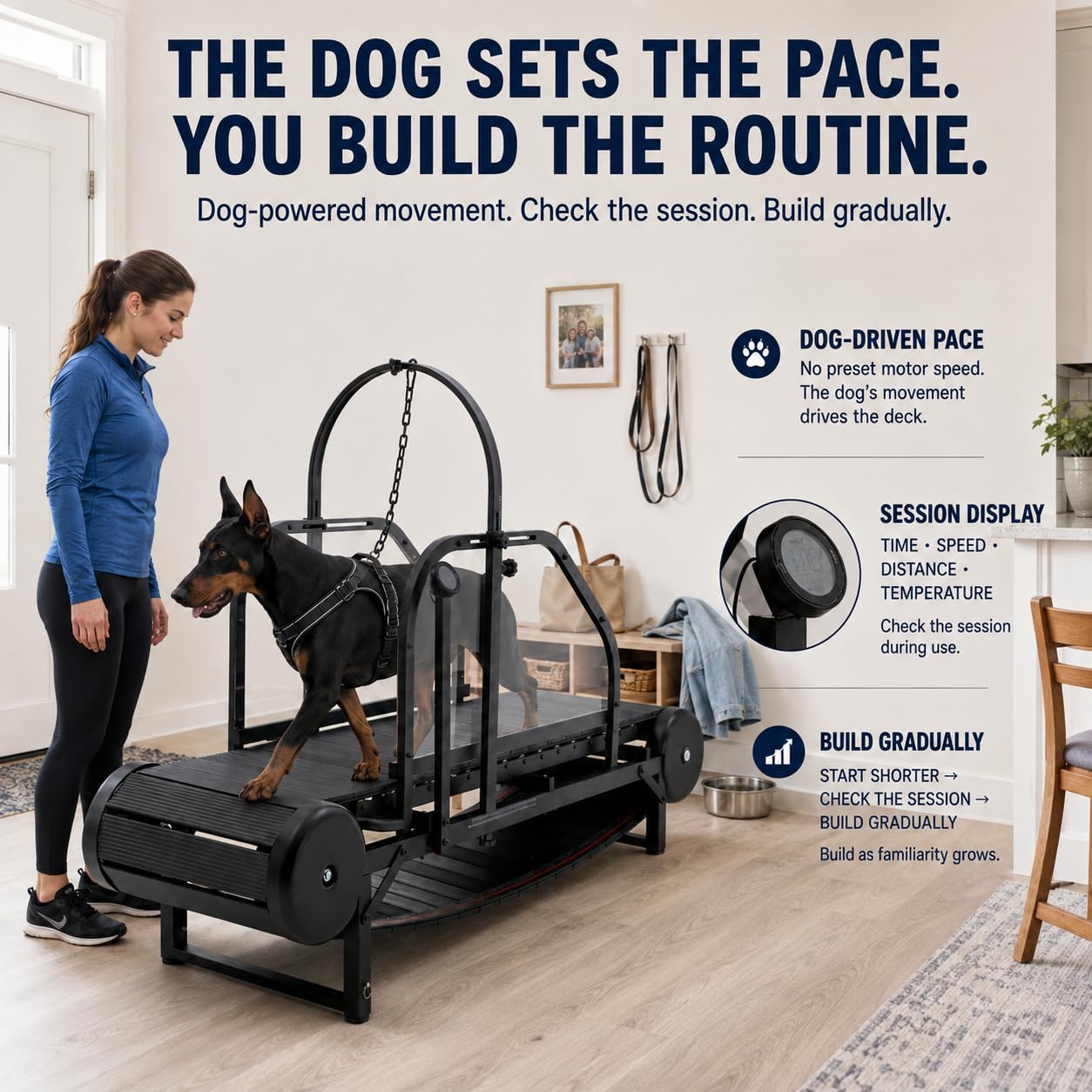 Laufband für große Hunde, mittelgroße Hunde, verstellbare Rampe, Laufband für Hunde, mit Schrittzähler für Bewegung, gesund und fit