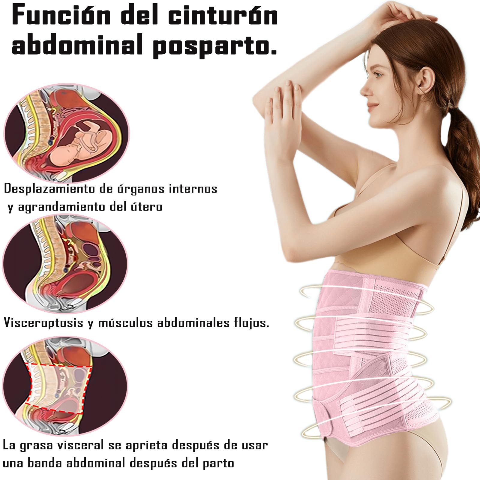 Faja Post Parto Y Post Cesarea Cesarea, En Postpartum