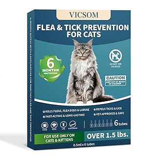 Image showcasing Effective Flea And Tick Control For Feral Cats: Keeping Them Safe And ...