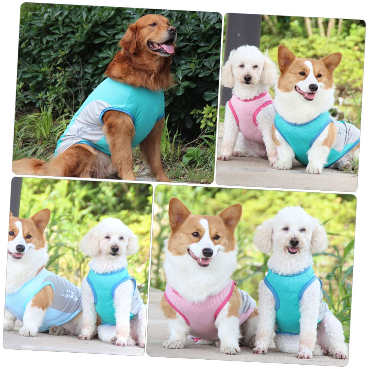 Manteaux de Pluie imperméables pour Chien, imperméable pour Chien, 2 pièces, Gilet rafraîchissant pour Animaux de Compagnie, imperméable, Robe pour Chien, chem