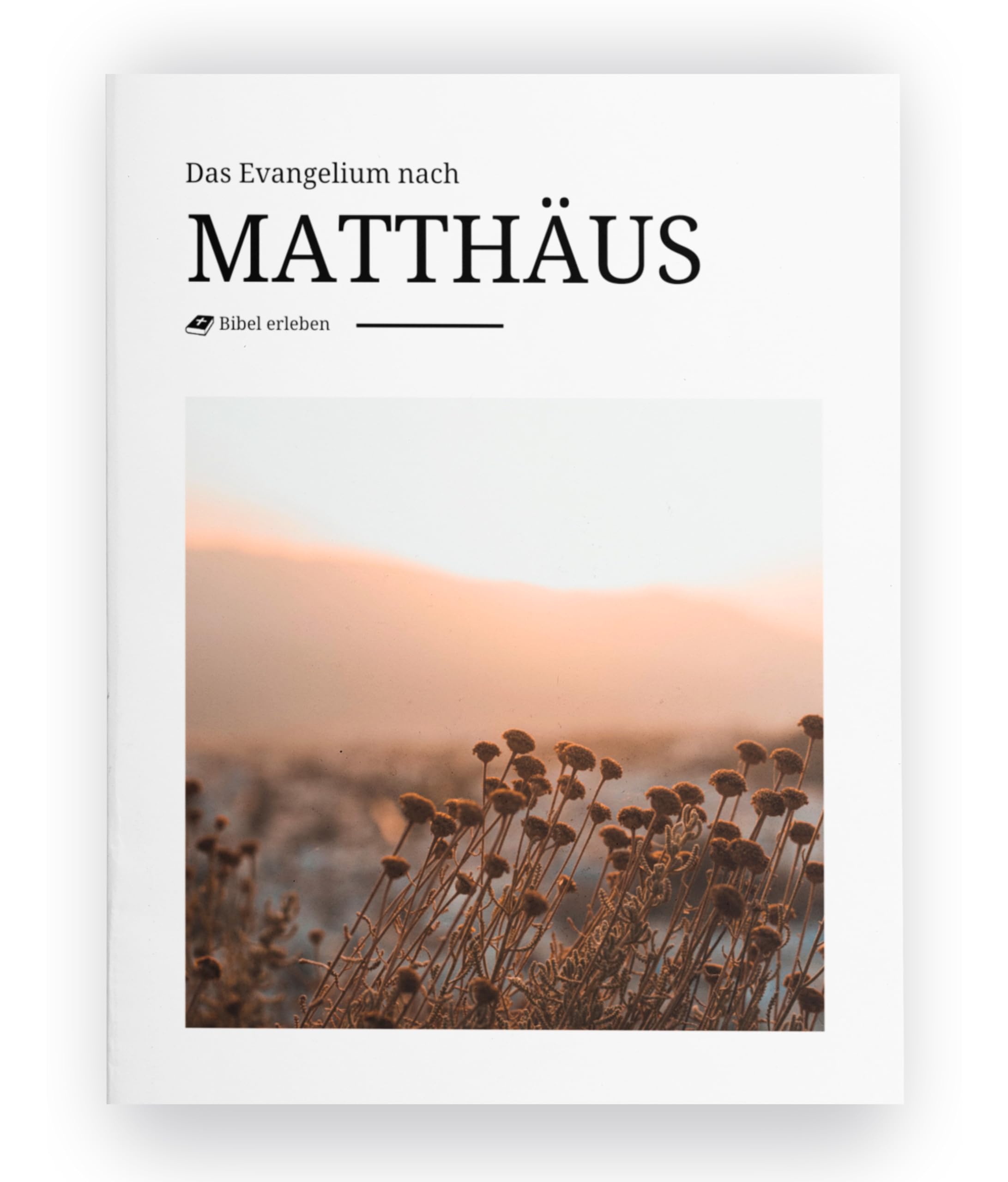 Das Evangelium nach Matthäus - inhaltlich treue Bibel mit modernem und beeindruckendem Design und Bildern