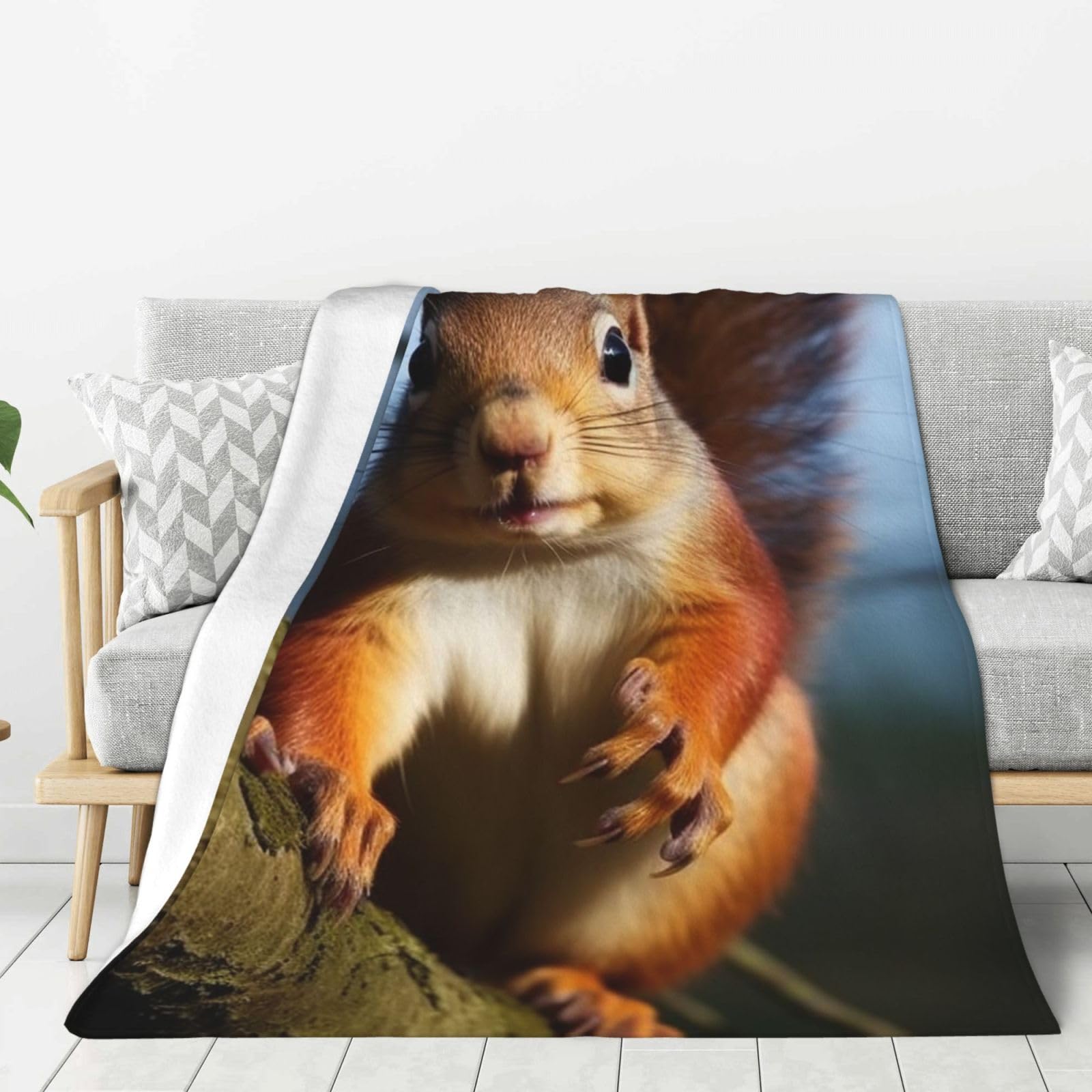 Squirrel Funny Animal Throw Blanket Plush Flannel Fleece Blanket, Soft Lightweight Cozy Blankets 80"X60" for Bed Couch Sofa Travel