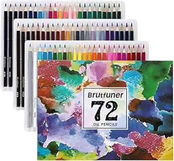 油絵　専用　ジニアがいっぱい 敬老の日 数字油絵 大人の塗り絵 油絵 多肉植物 フレーム付き 塗り絵