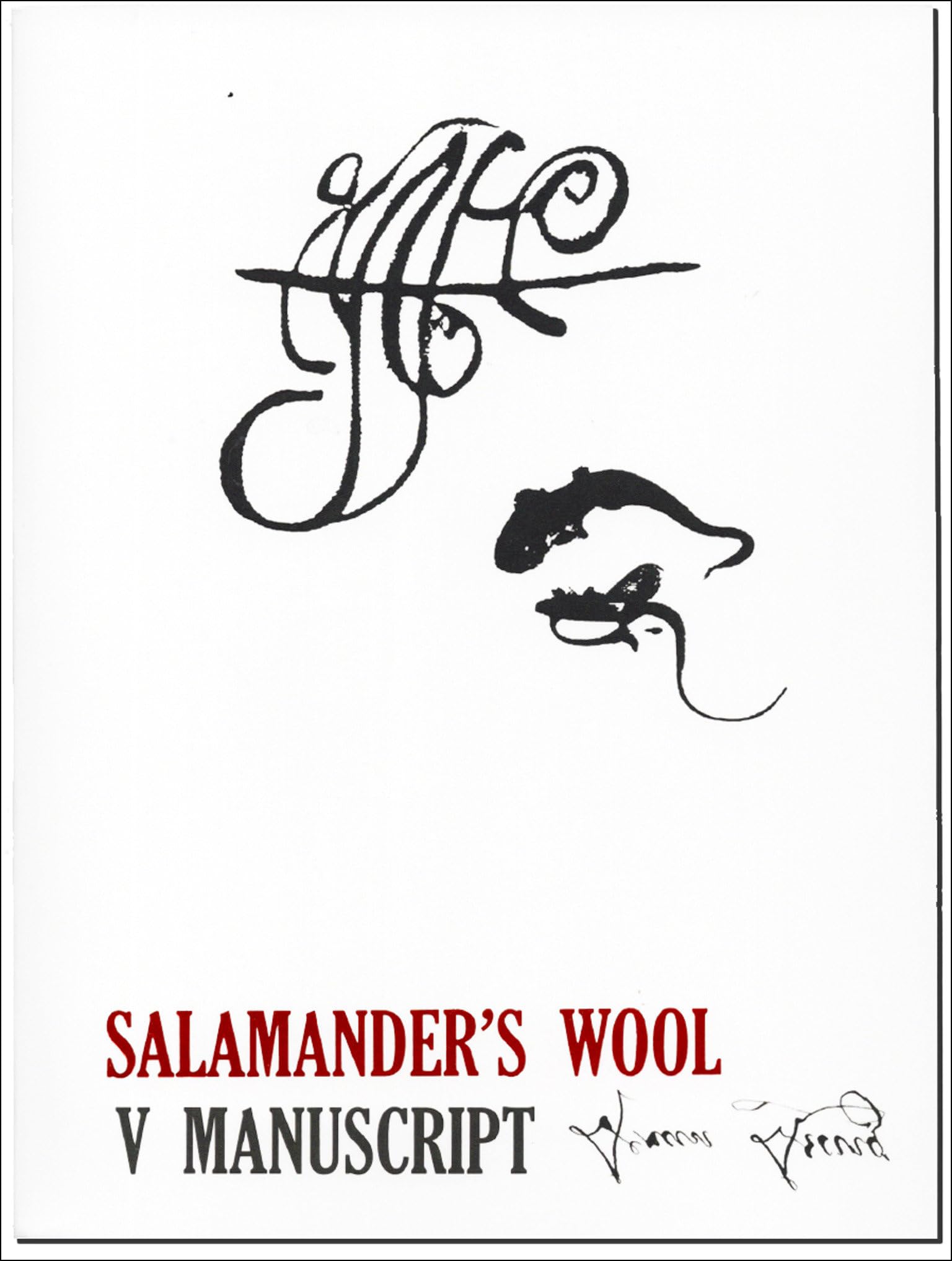 Salamander’s Wool: V Manuscript