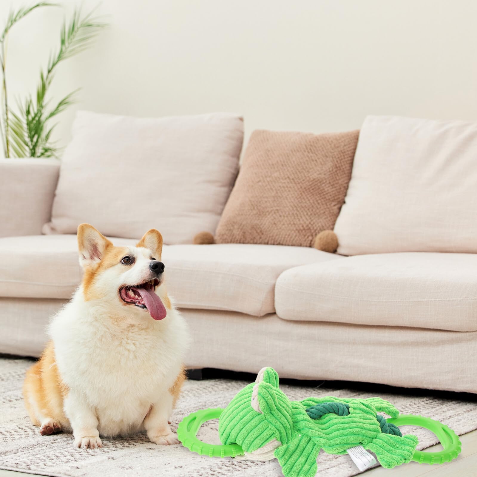 Zerrspielzeug für Hunde mit Robustem Seilring Bissfestes Kauspielzeug Plüschfrosch Interaktives Hundespielzeug für Kleine Mittlere und Große Rassen Zahnreinigend Grün