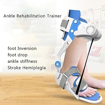 ＡＯ法骨折治療Ｆｏｏｔ　ａｎｄ　Ａｎｋｌｅ AO法骨折治療 Foot and Ankle [英語版Web付録付] (AOTRAUMA