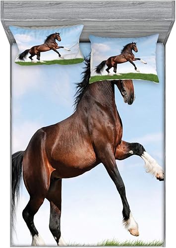 Miniatura 19 de Ambesonne Juego de sábanas bajeras y fundas de almohada, deliciosos tacos con verduras, cocina folclórica, ingredientes de recetas de comida Beige