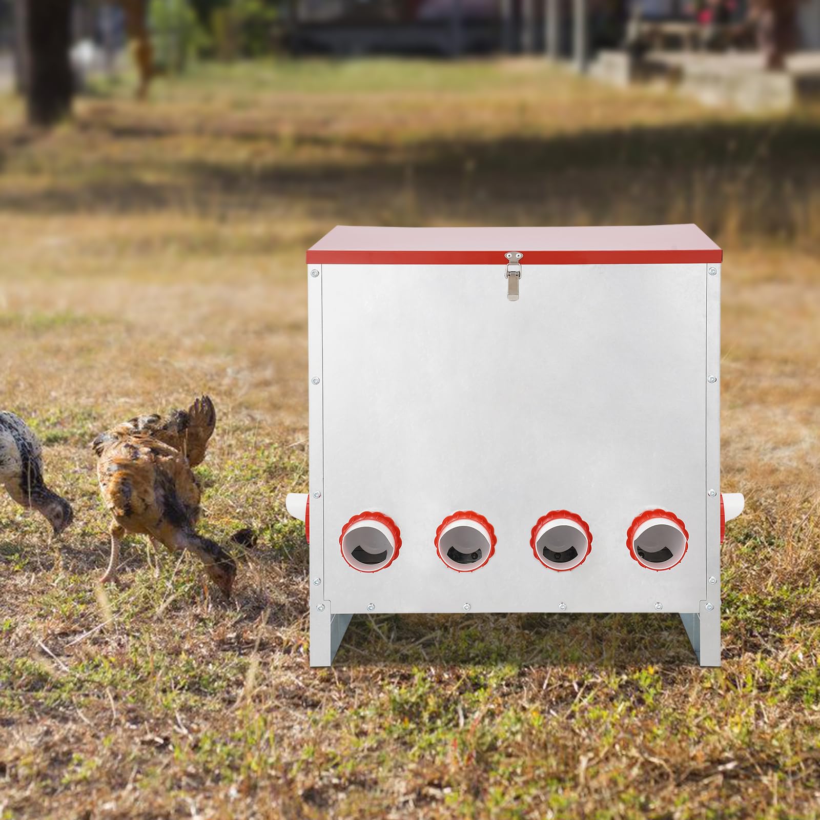 Comedero automático para pollos para 10 aves de corral/pollo, ideal para 10 aves/pollos, capacidad de 30 kg