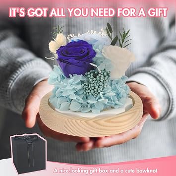 Preserved Flowers Eternal Roses in Glass Dome - Perfect Valentine's Day Gifts for Her, Girlfriend, or Mom - Elegant Home Decor & Bedroom Decor
