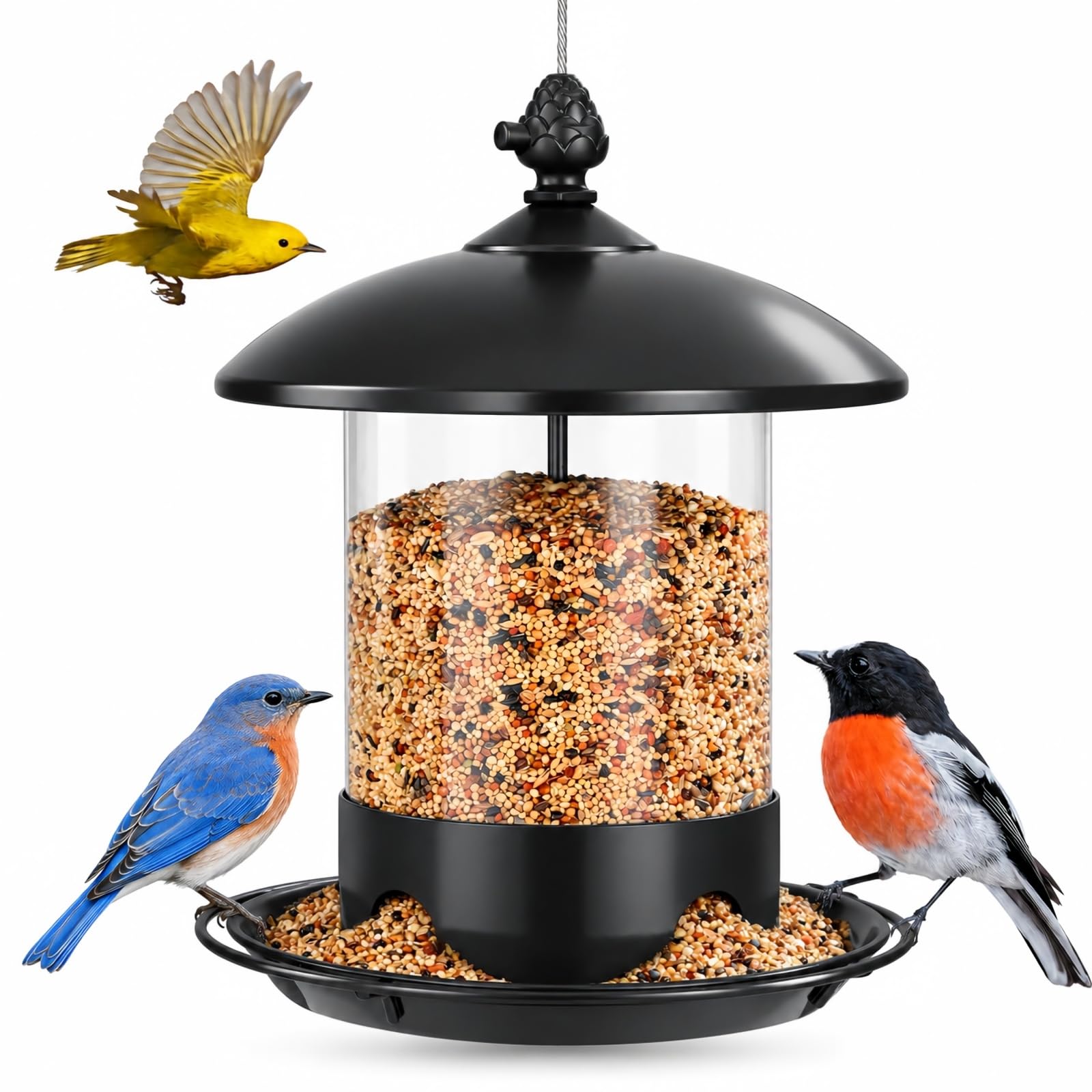 Gbekery Metal Bird Feeders for Outdoors Hanging, 360° Feeding Tray, Black