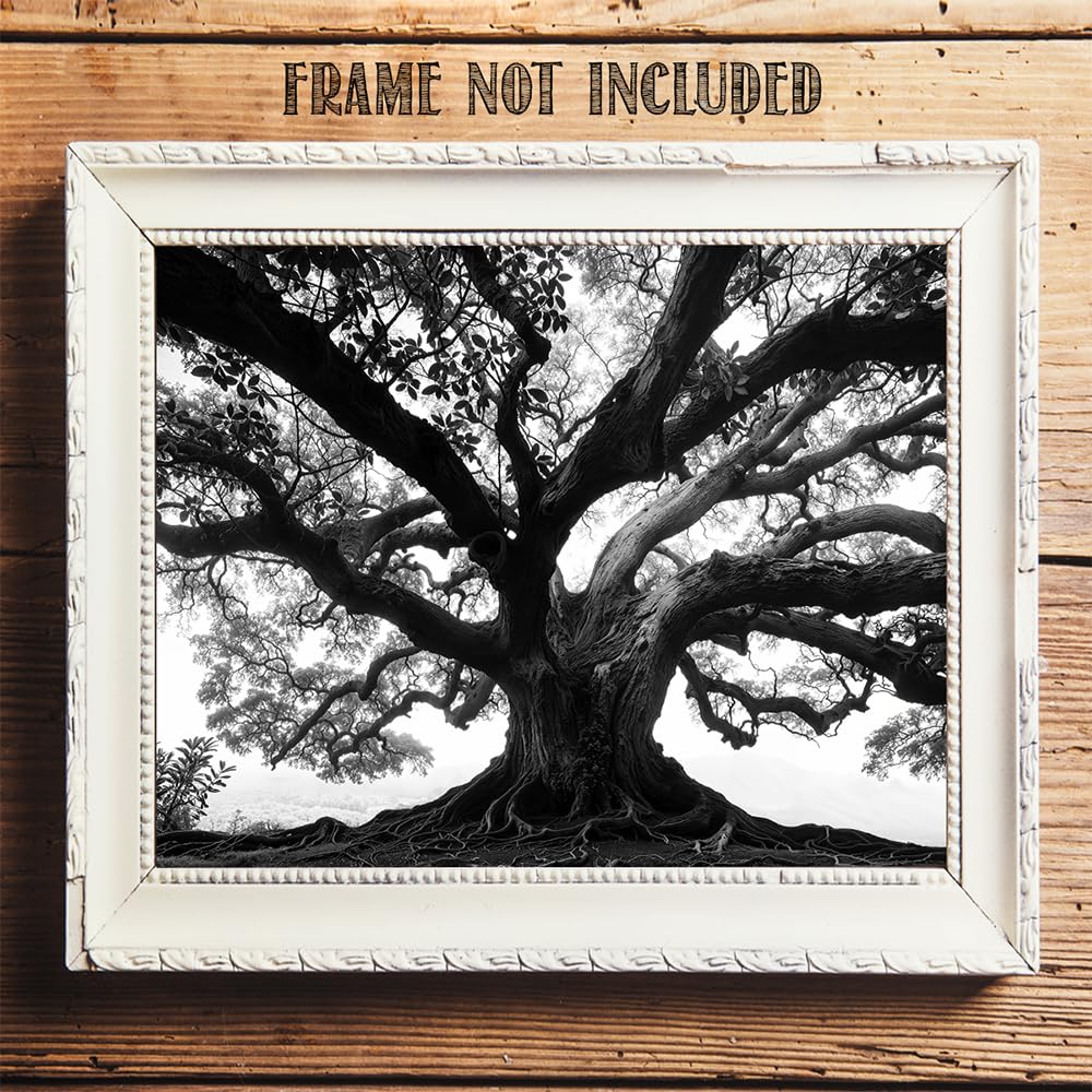 Amazon.com: Tree of Life Black & White Photo 11x14 Unframed Poster