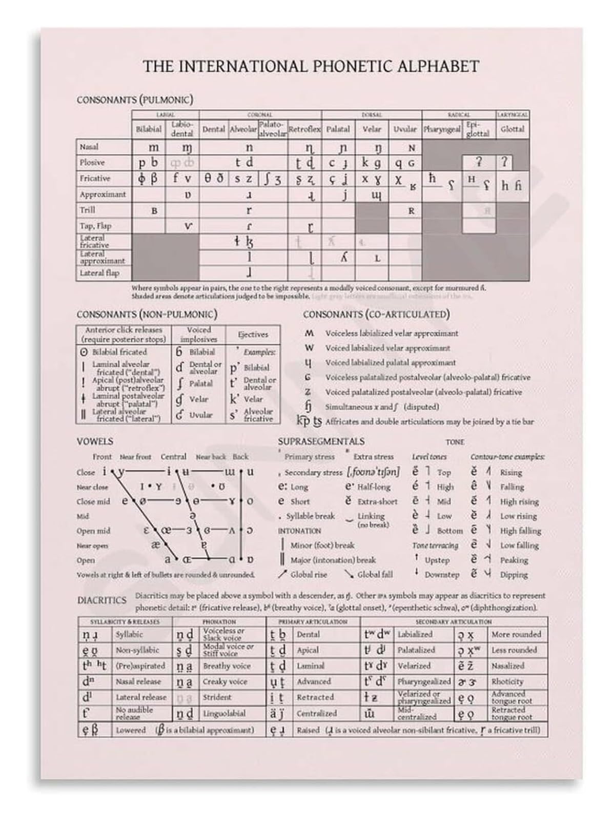 XGINERFEX Comprehensive IPA Vowel & Consonant Chart, Educational Poster on Canvas, Wall-Art for Dialect Study, Research(Framed,16x24inch(40x60cm))