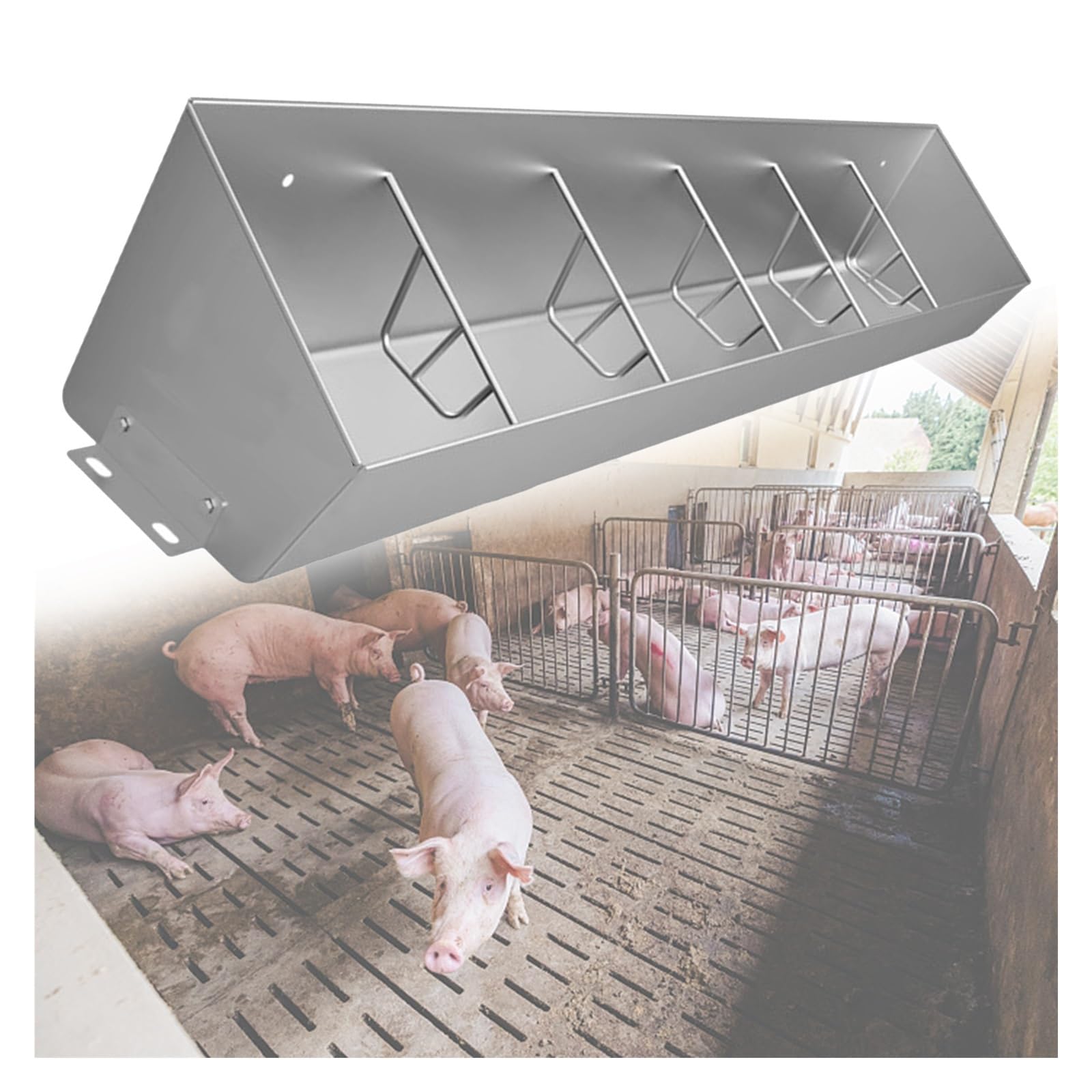 Mangiatoie per Animali da Allevamento, Adatte a suini, Ovini e bovini (Possono ospitare Fino a 6 suini).
