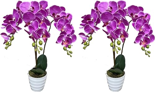 AMERIQUE Par de orquídeas artificiales moradas de 24 pulgadas con macetas de guardería