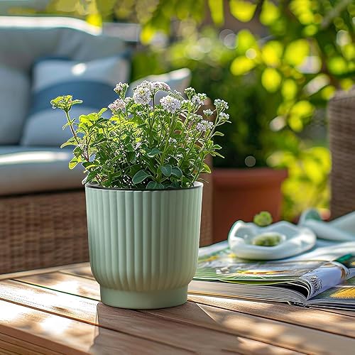 Miniatura 7 de T4U Macetas de riego automático de 4.5 pulgadas para plantas de interior, paquete de 6 macetas de plástico verde oscuro para todas las plantas de