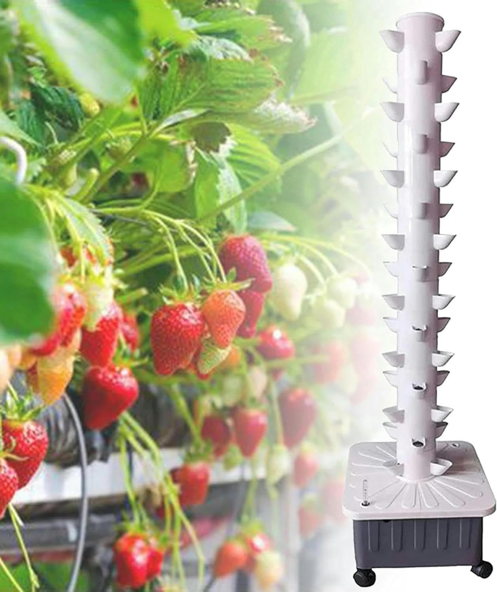 Système de culture hydroponique vertical intérieur pour herbes fraîches et fruits