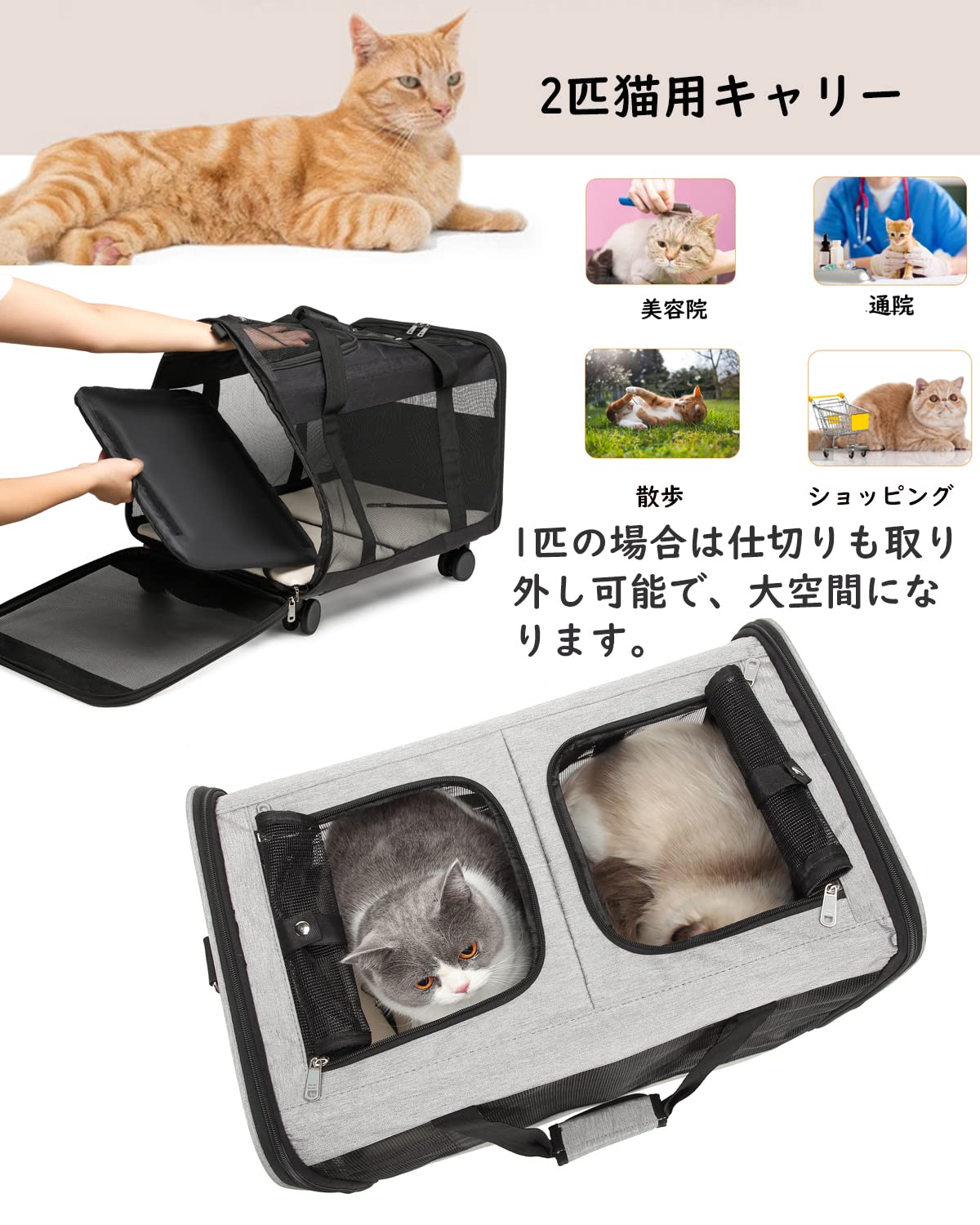 Amazon.co.jp: CHINSUKIDA 猫 キャリー キャスター付き 2匹 ペット
