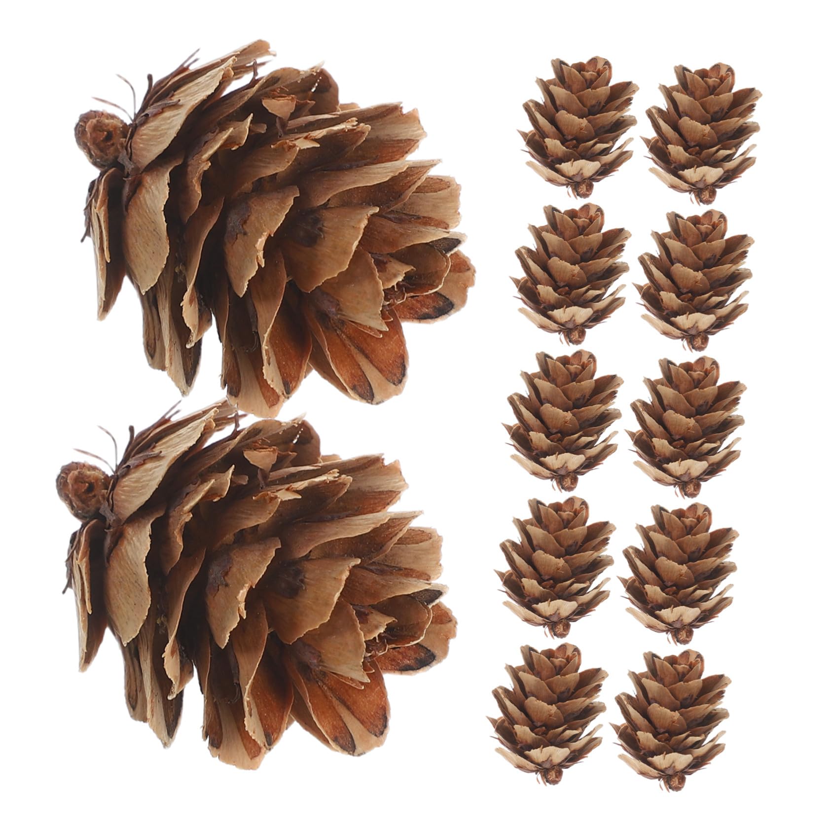 Ipetboom 1 Caja Mini Piñas para Decoración Navideña Rústica Adornos Colgantes para Árbol de Invierno Manualidades Festivas Reutilizables Pequeñas