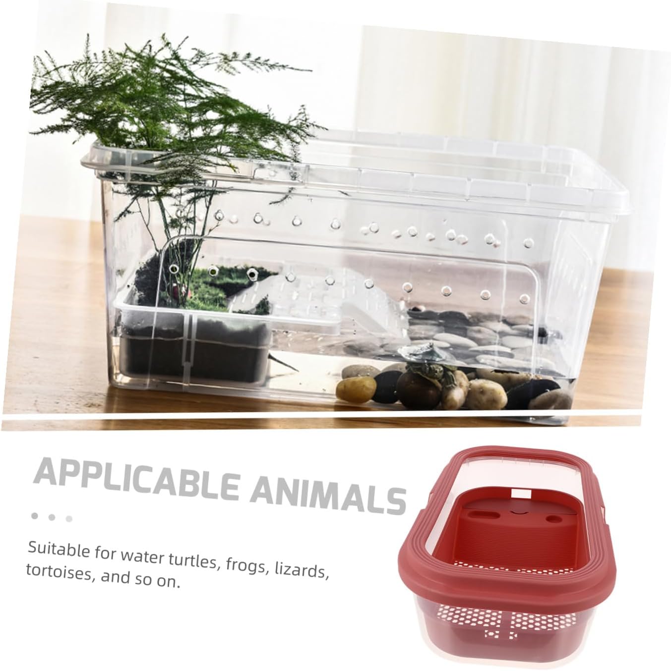 Large Turtle Tank with Basking Platform Plastic Tortoise Feeding Box for Home Use Reptile Terrarium with Sun Terrace for Aquatic Habitat