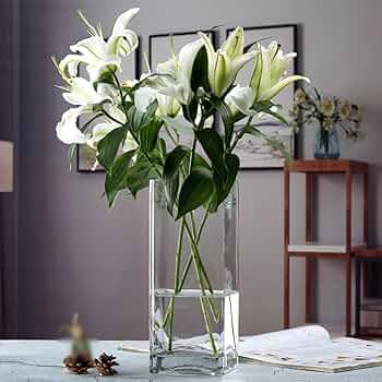 Amazon.co.jp: YJFFQ ガラス花瓶 花瓶 12*40cm 一輪挿し