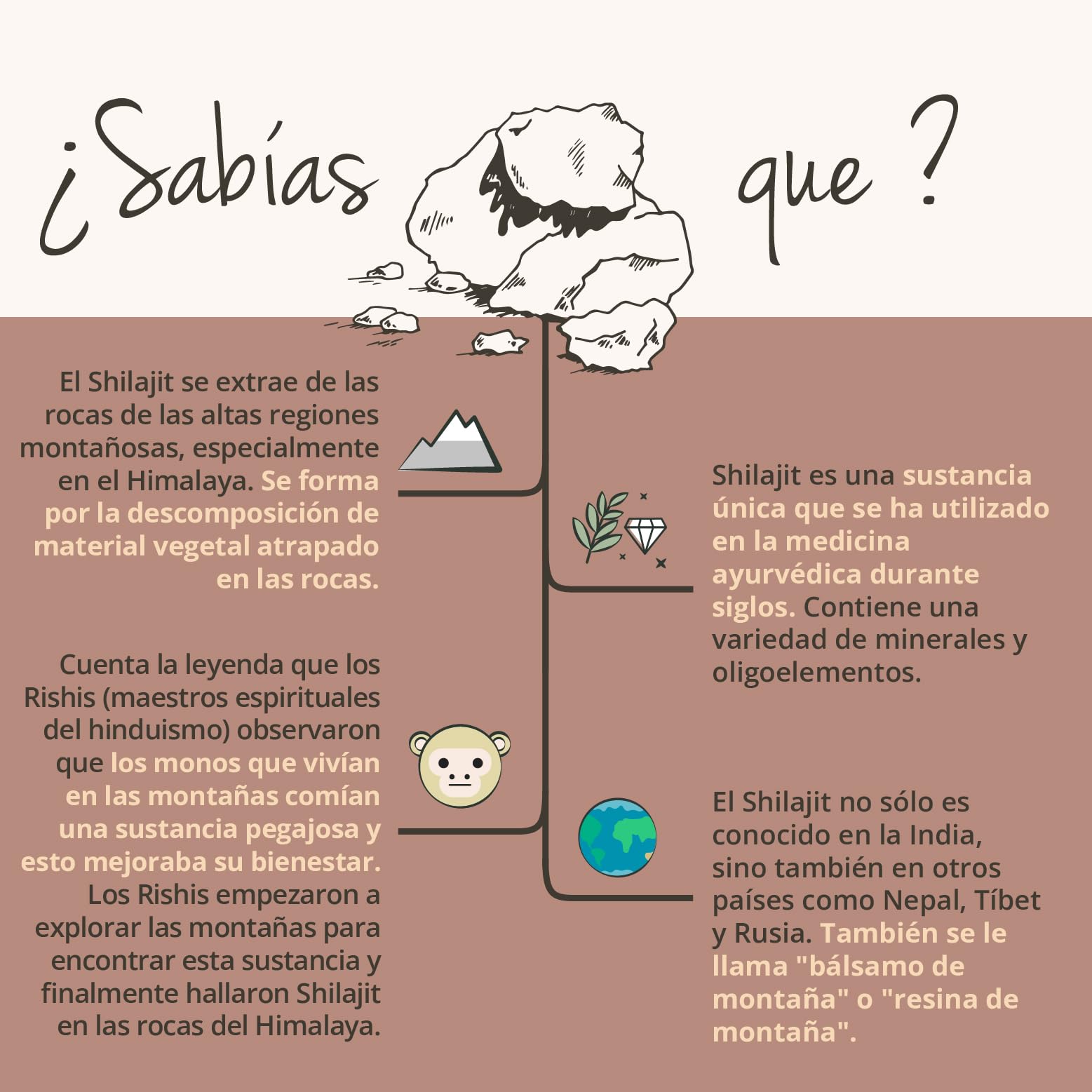 Shilajit Puro | 1.300 - DOSIS MÁS ALTA | 90 Cápsulas | 60% Ácido Fúlvico y 12% ácidos húmicos | Mumijo del Himalaya | Sin Aditivos | Vegavero