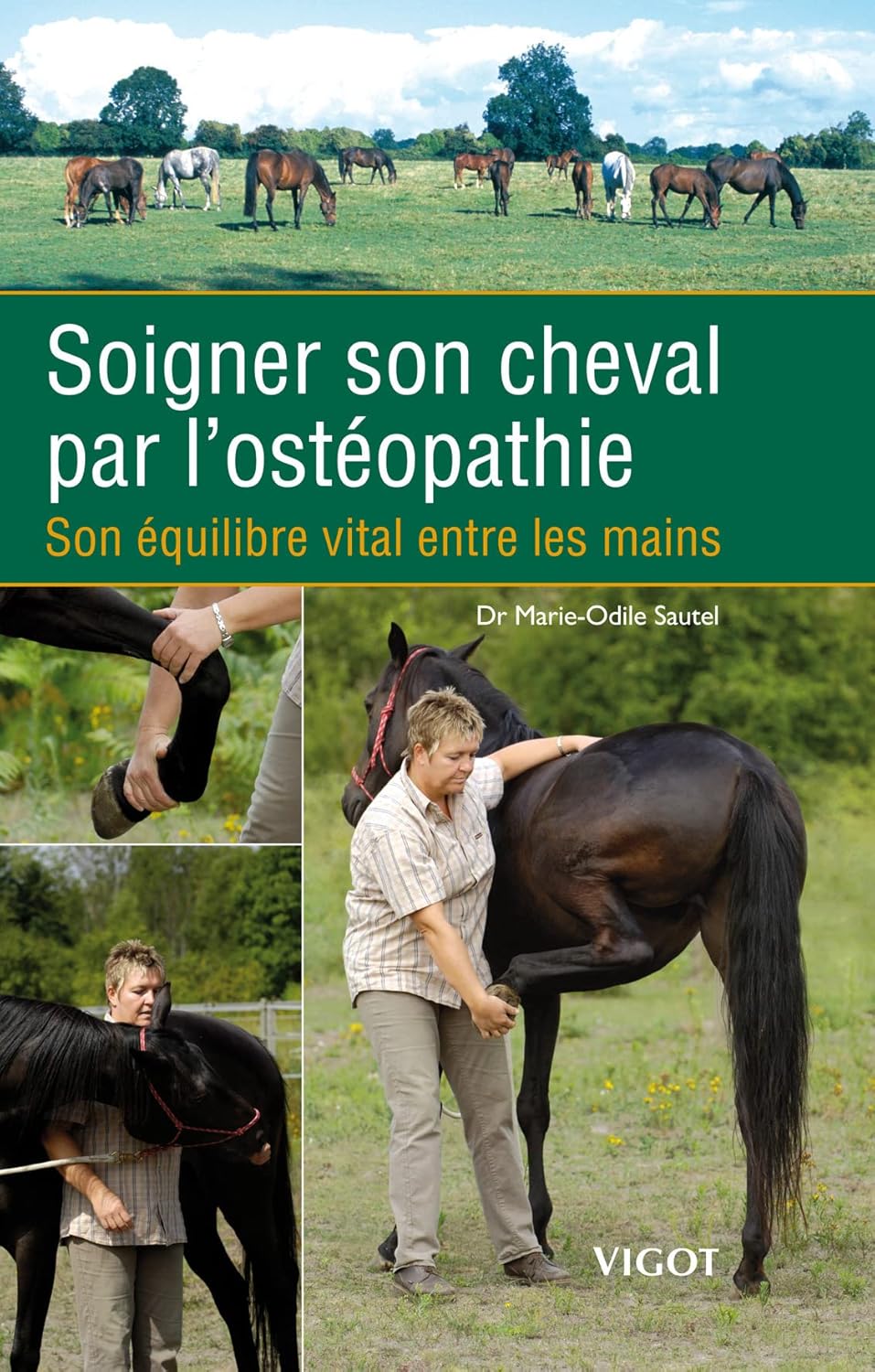 Soigner son cheval par l'ostéopathie : Son équilibre vital entre les mains      Hardcover – November 27, 2007