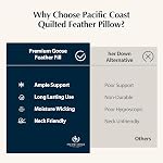 Pacific Coast Premium Goose Feather & Down Bed Pillows, Hotel Quality Collection, Medium Support for Side & Back Sleepers (Queen (Pack of 2))
