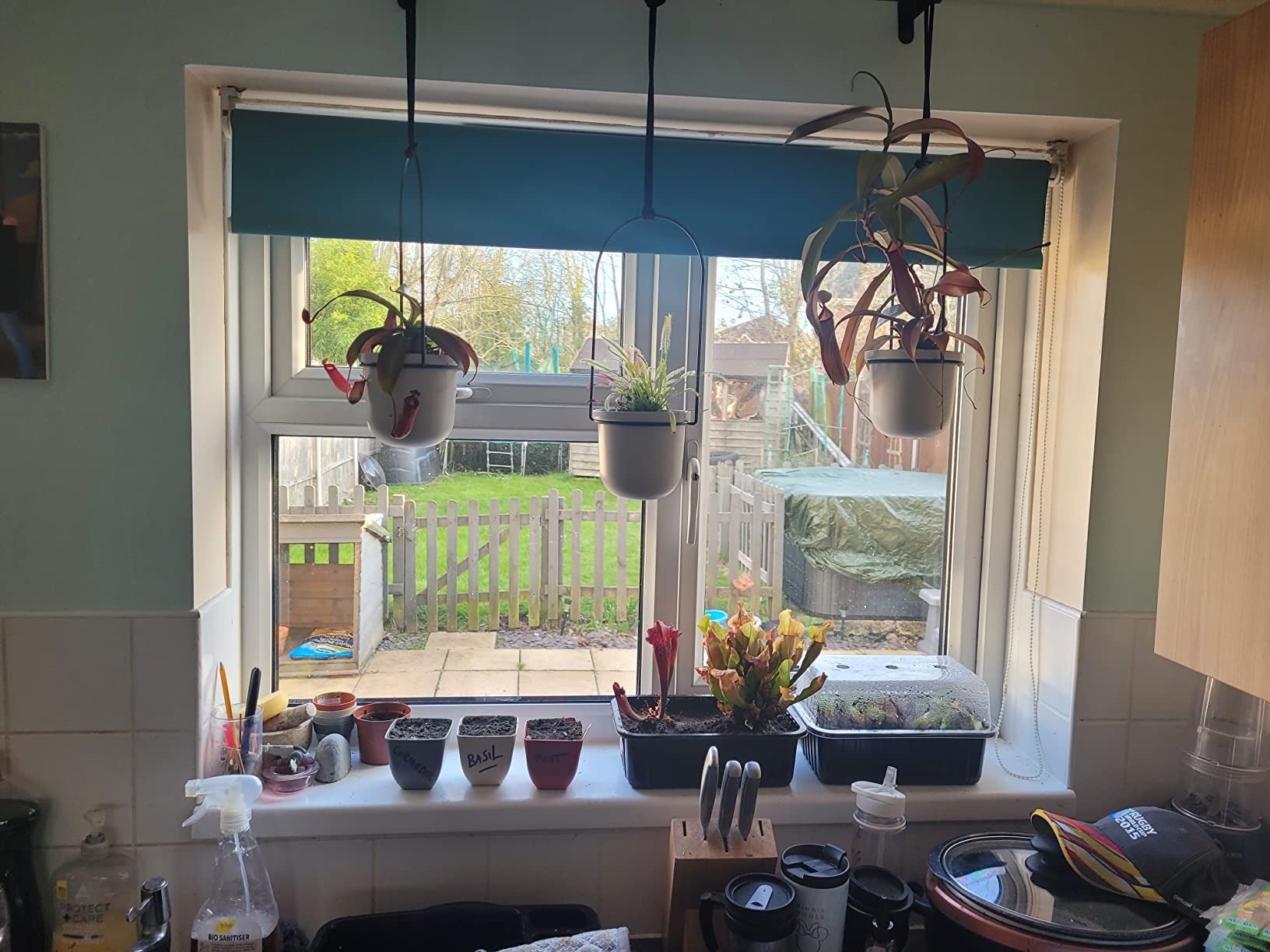 Customer photo
