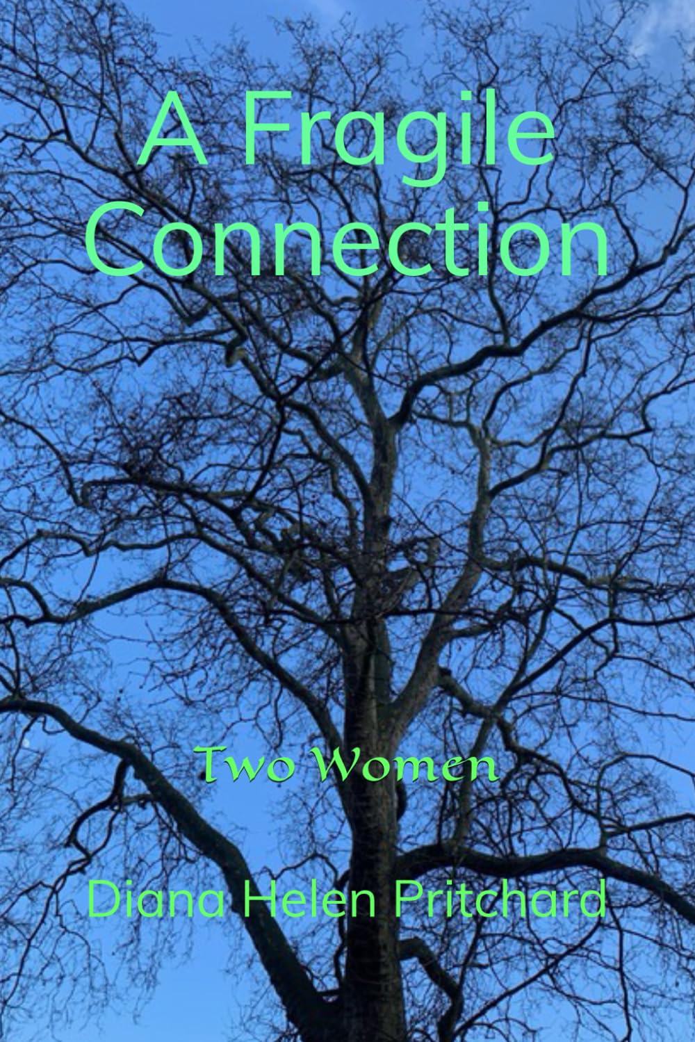 A Fragile Connection: Two Women