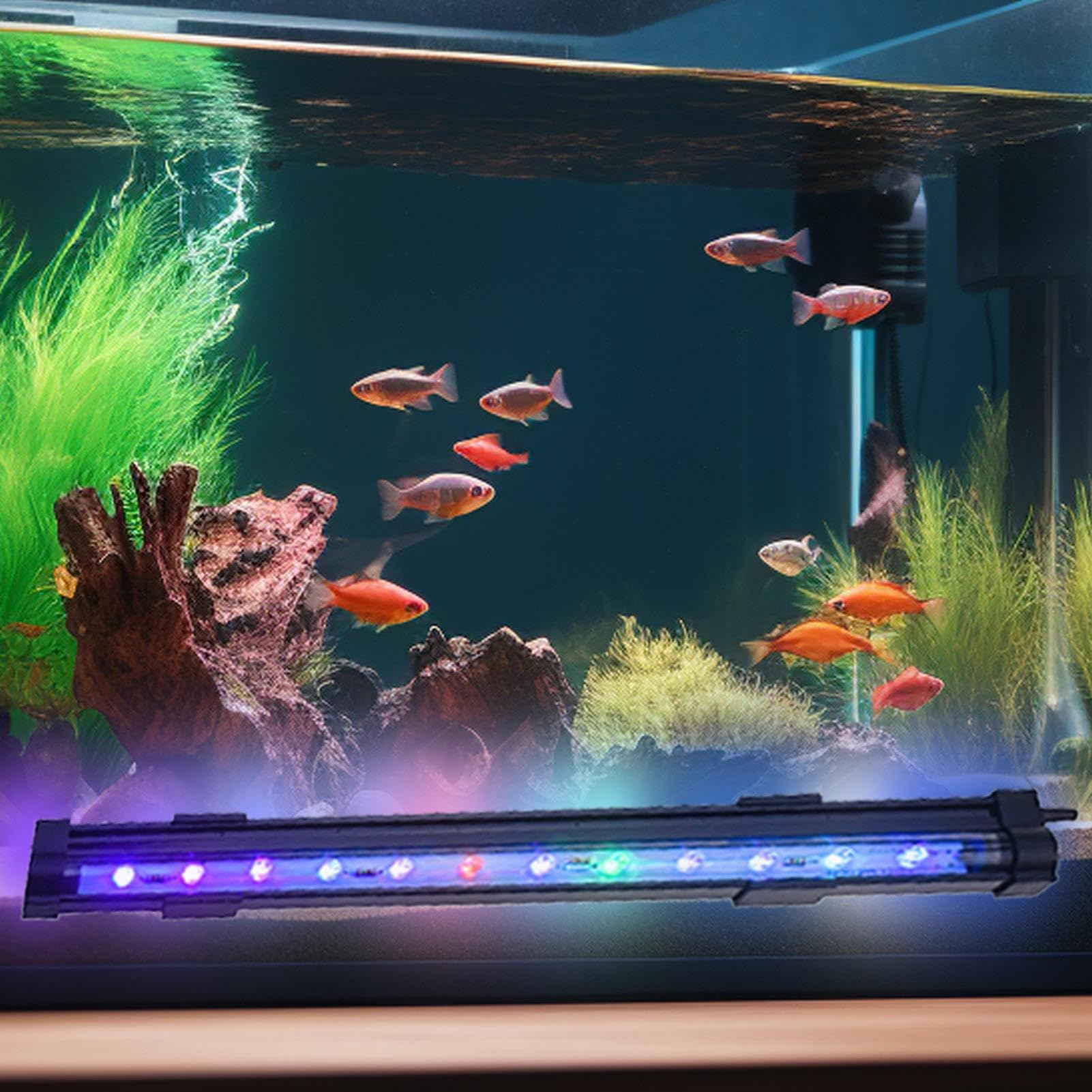 30W Lumière LED marine à spectre complet dimmable pour aquarium - Chine Lumière de l'aquarium et lumière LED de l'aquarium prix