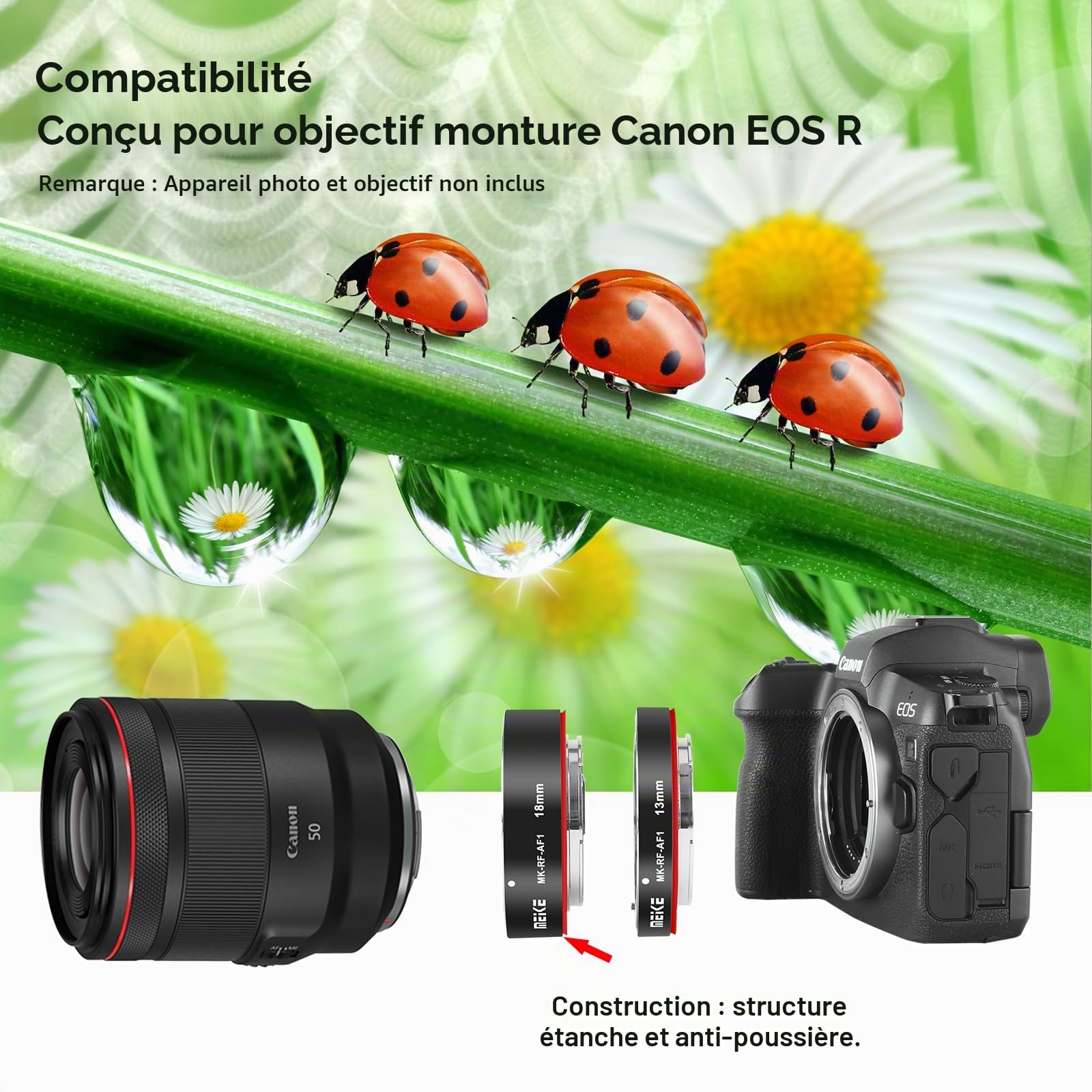 Meike MK-RF-AF1 Bague d'adaptation de tube d'extension macro en métal pour mise au point automatique (13 mm + 18 mm) compatible avec les appareils photo Canon RF-Mount EOS R RP