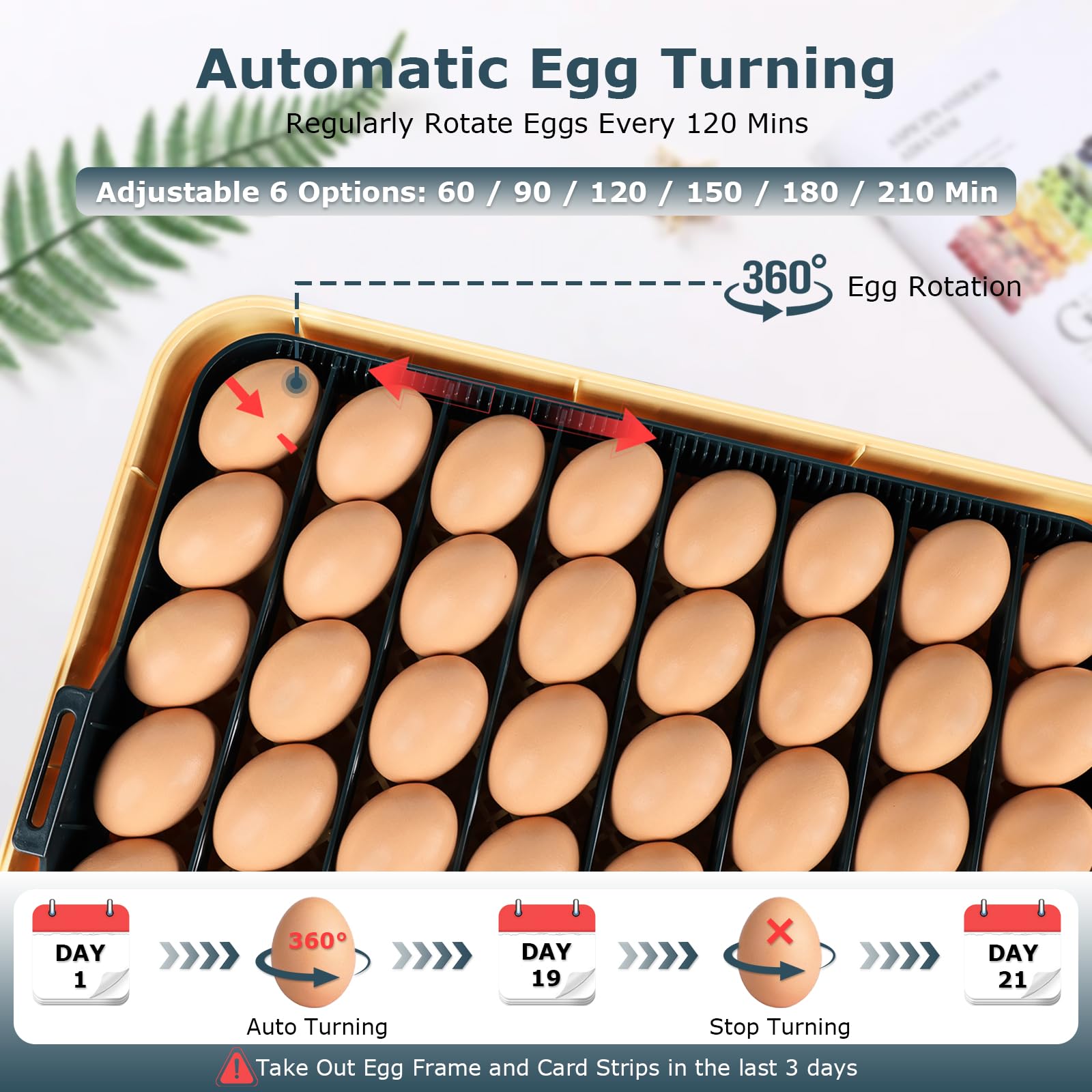 Incubatrice per uova da cova, incubatrice per 56 uova con candela per uova, tornitore automatico per uova, controllo temperatura e umidità, giorno della schiusa, visualizzazione a 360° per pollo