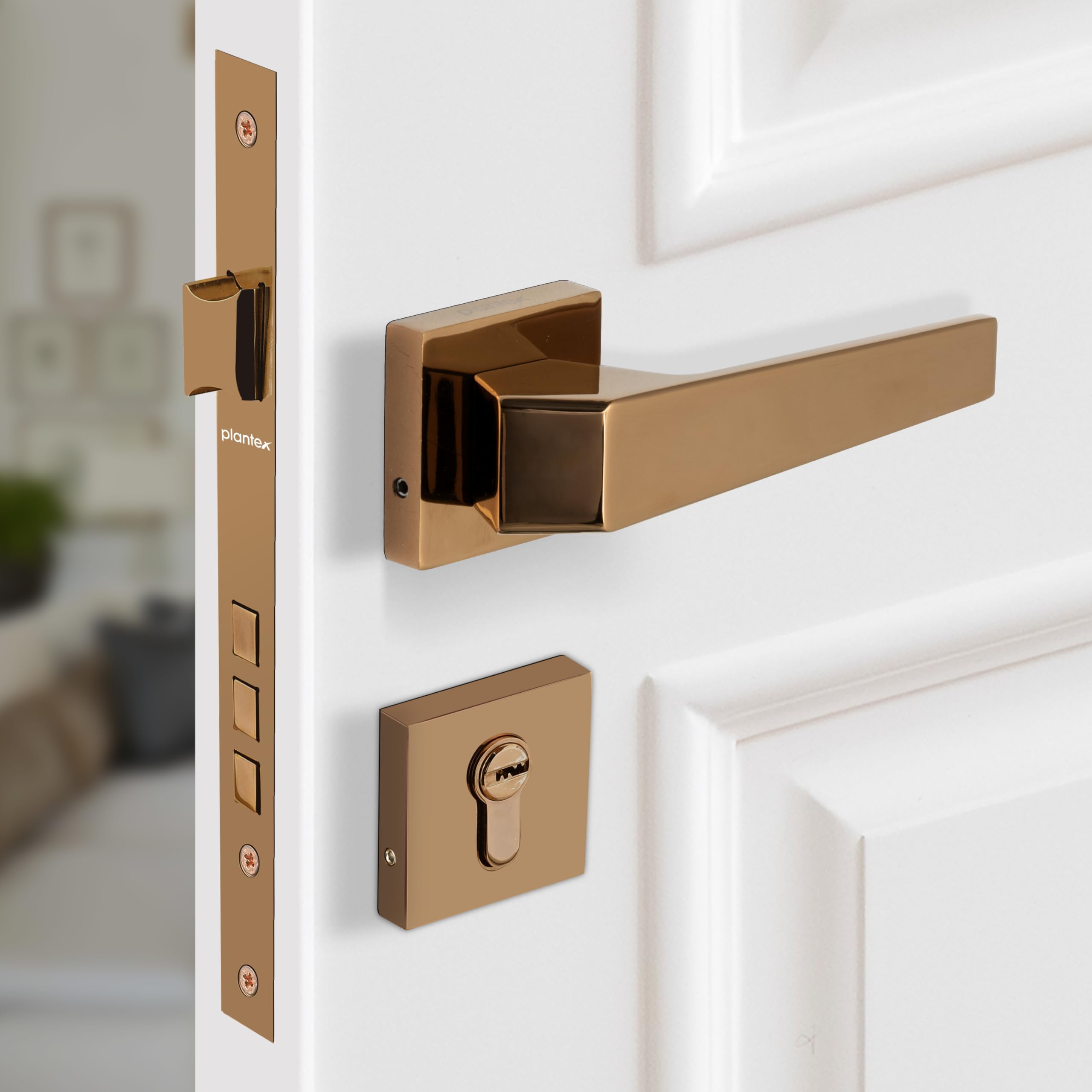 Plantex Triple Security Door Lock - Secure Your Home -9