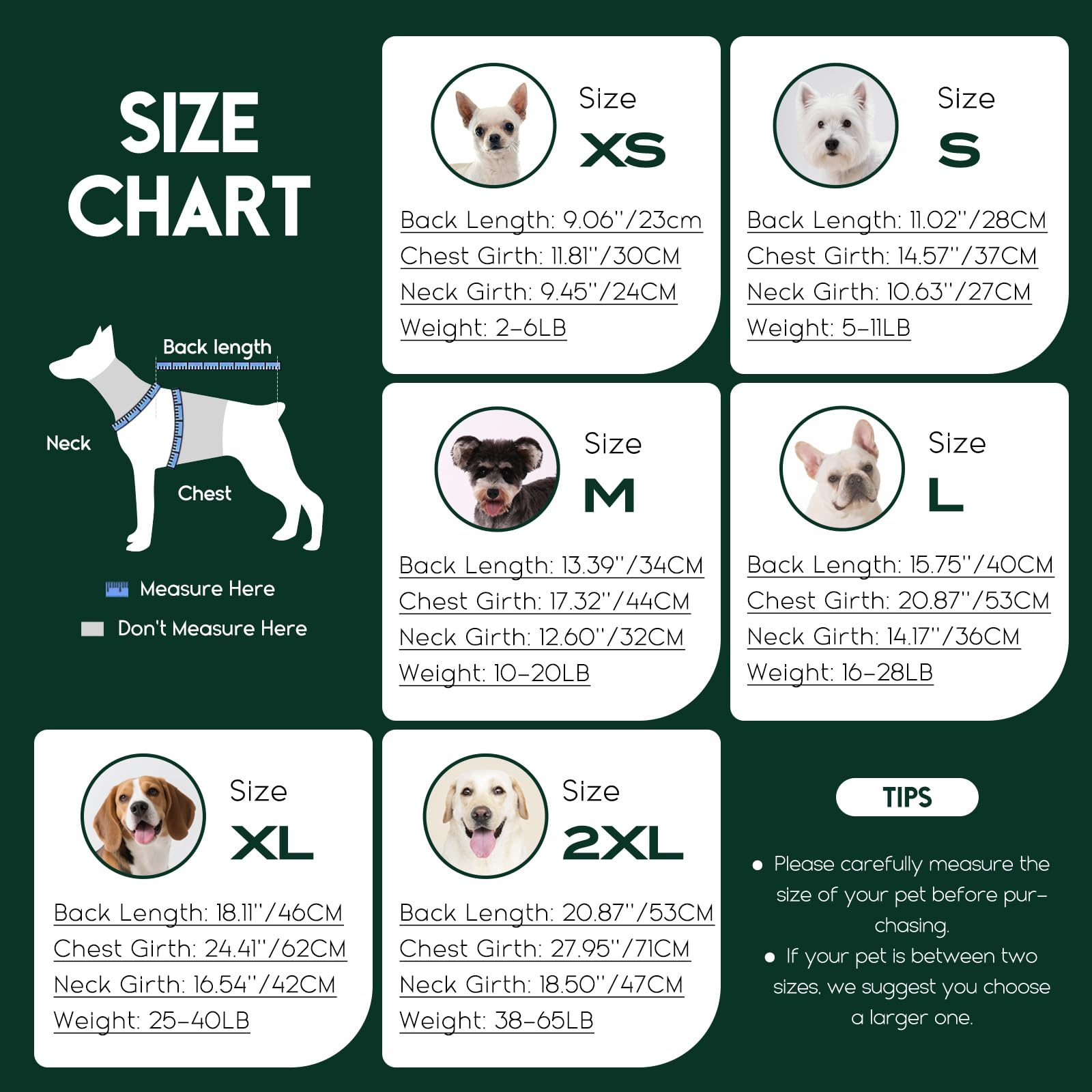 ASENKU Pull Chien Petite Taille XS, Pull-Overs pour Chien avec Manches,Hiver Tricot Col Roulé Pull Chaud pour Chiens, Manteau pour Chiens pour Bouledogue Français Teckel Chihuahua