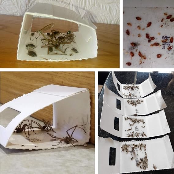 CritterKill Spider Trap 18 Pack - Spiders And Crawling Insect Killer Traps - Child And Pet Safe - Eco Friendly
