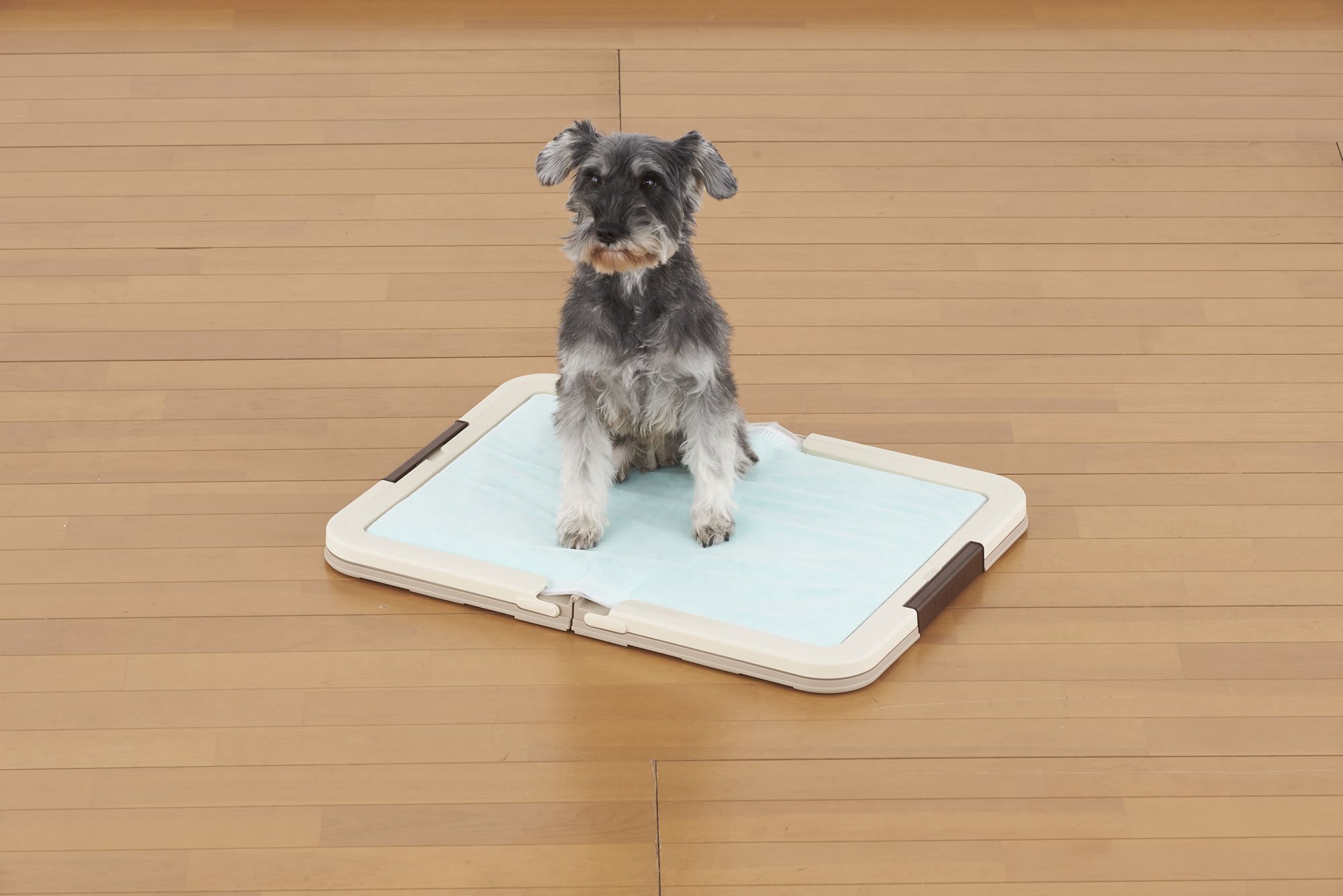 しつけるトレーツーウェイ　ボンビアルコン　犬用　トイレ　ツーウェイ Amazon | ボンビアルコン (Bonbi) トレーツーウェイ アイボリー 犬用