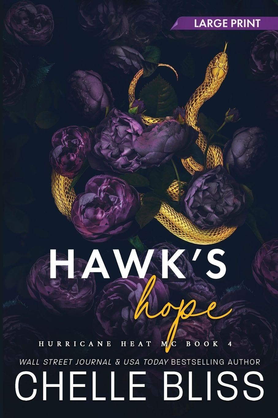 Hawk's Hope: Large Print Edition: 4 (Hurricane Heat MC)