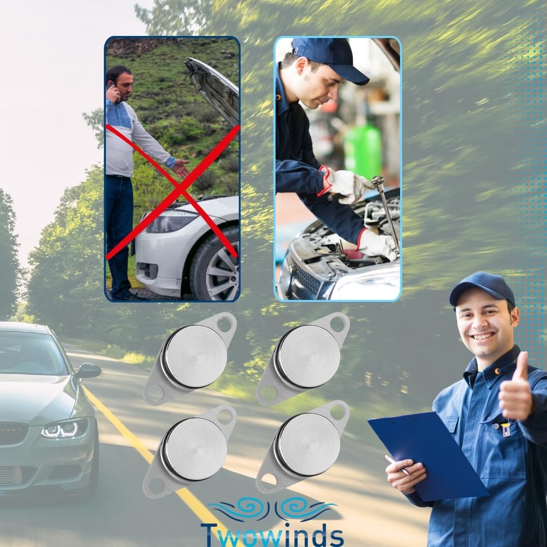 Twowinds - Kit Annullare Farfalle Collettore di Aspirazione (22 mm) Compatibile con BMW E90 E46 E39 E60 E61 E65 X3 X5 - Rimozione Swirl Flap - Eliminazione Valvole Swirl (14 guarnizioni e 4 tappi)