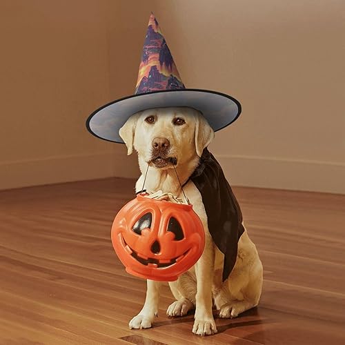 Miniatura 6 de Halloween Small Witch Hats for Women - Lightweight Foldable Cyber Retro Western Cowboy Print Witches Hats for Women, Witch Halloween Decor for