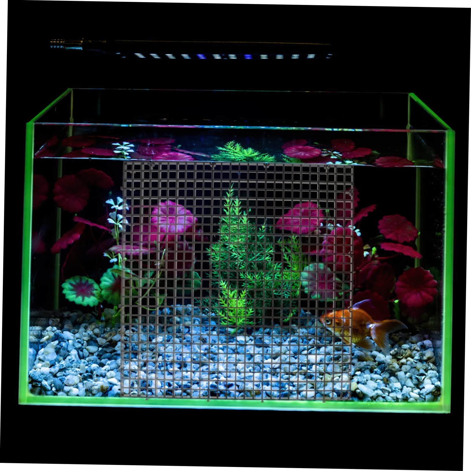 Filtro De Fondo Acuario Placas Divisorias 18pcs Tableros Aislamiento Soportes Separadores