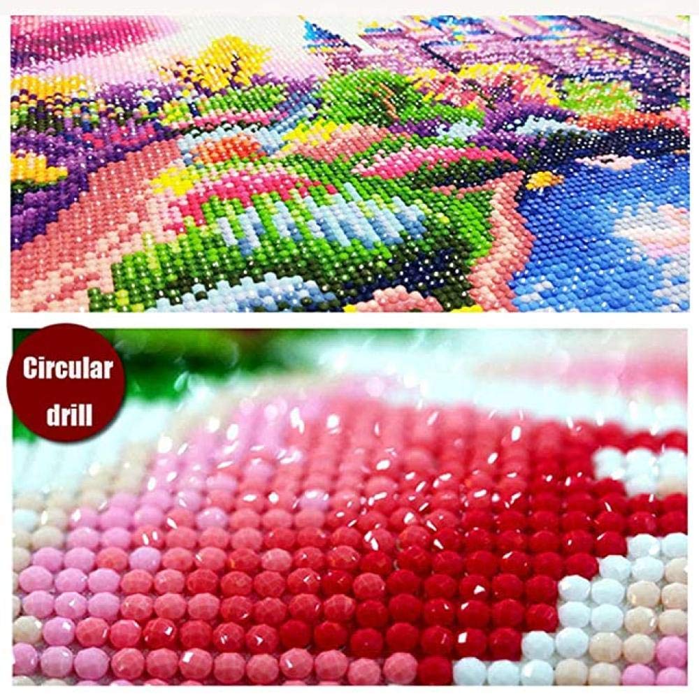 CJWLH Kit di Pittura Diamante 5D Fai da Te Animali Giraffa Diamanti Rotondi Cristallo Strass Ricamo Arti Artigianato Decorazione della Parete di casa Senza Cornice 30x40cm