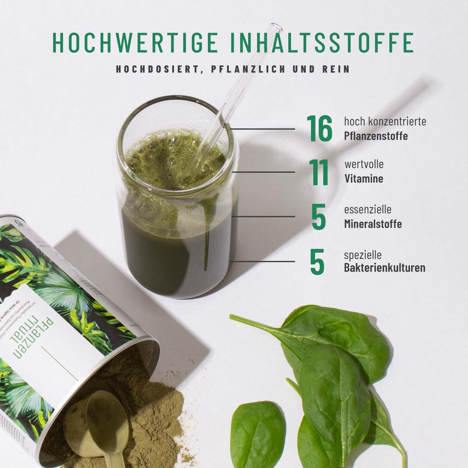 NATURTREU® Greens Pulver - 300g Smoothie Powder mit Weizengras, Gerstengras, Lucuma, Maca, Spinat, Moringa, Spirulina und mehr grünen Helfern - 100% vegan - in Deutschland hergestellt