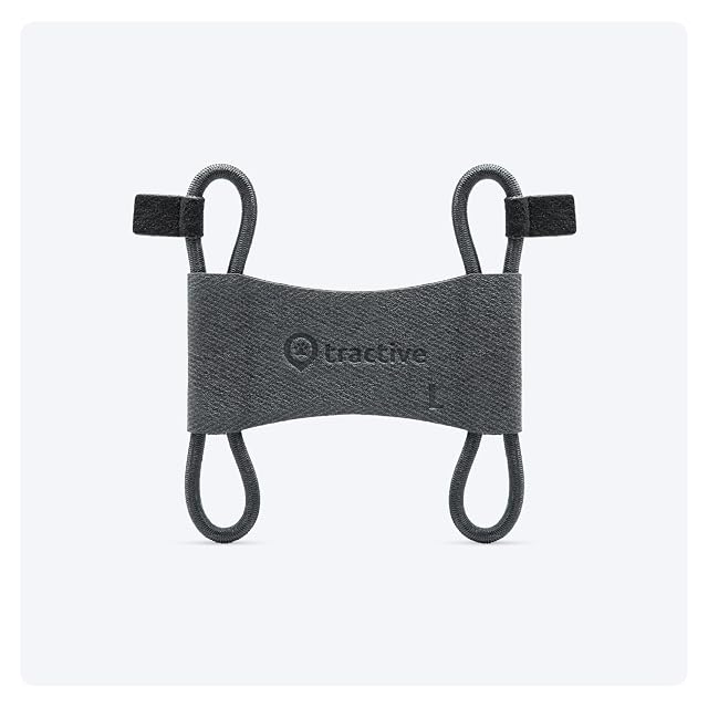 Tractive - 2 Clips de Tela para el GPS para Perros Tractive Dog 6 (Negro) - Grandes