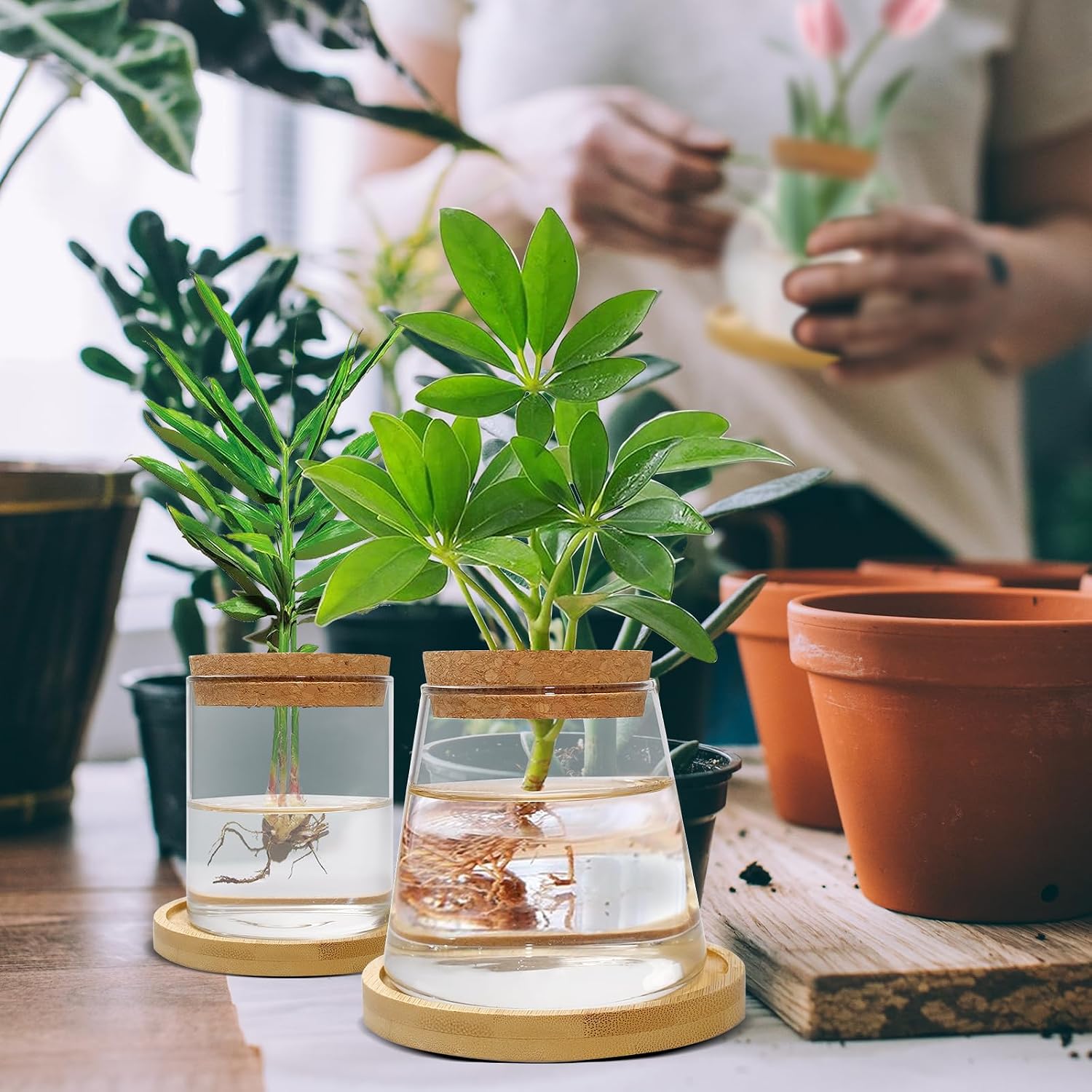 8 Pcs Plants Propagation Station with Wood Lid and Stand, 4 Styles Glass Planter Propagated Jars for Indoor Home Desktop Terrarium (Classic Style)