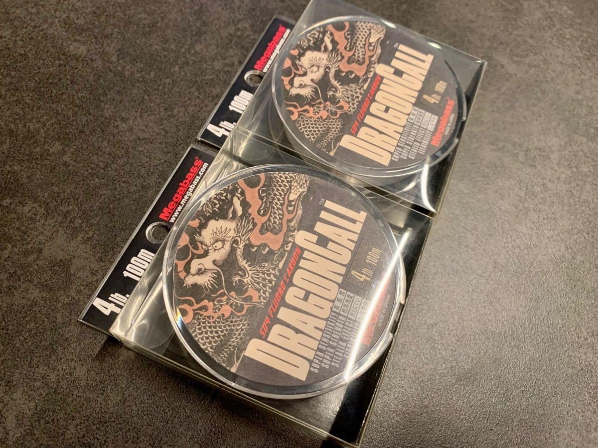 SD4 フロロカーボンライン ドラゴンコール 4lb 100m