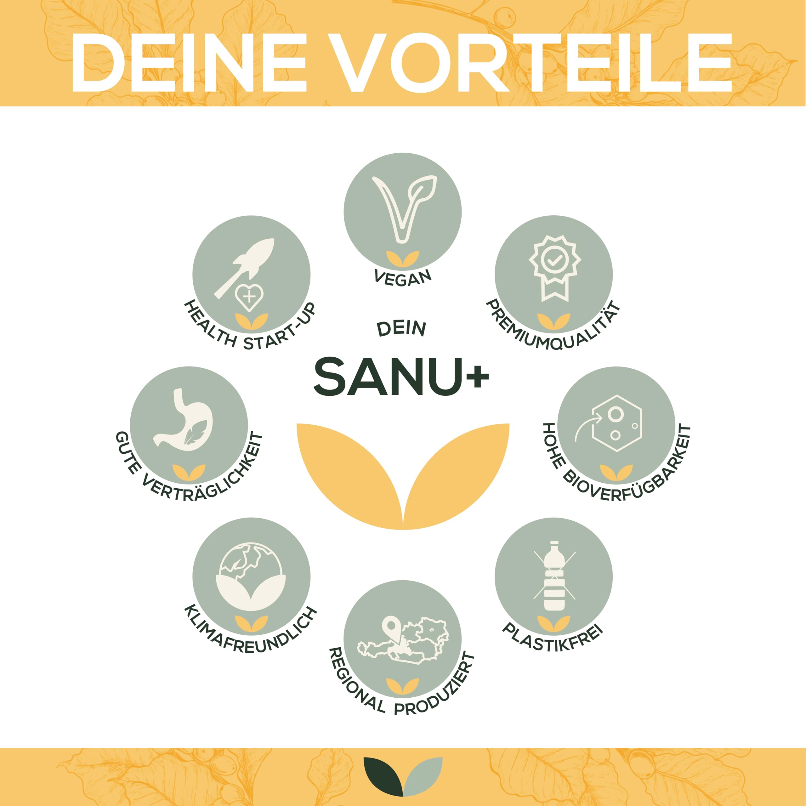 Sonnenblumenlecithin | 180 Kapseln | exakte Dosierung | Reinstoffprodukt | Ohne Zusätze | non-GMO | Flüssigkapseln reich an Phospholipiden | geprüfte Qualität
