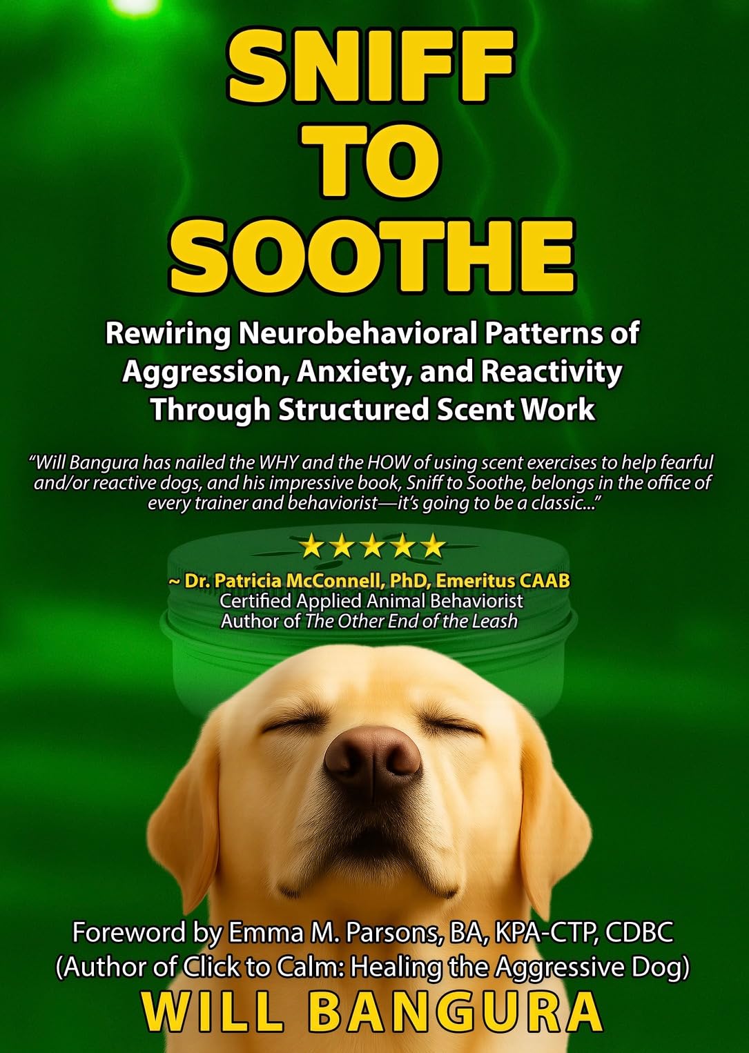 SNIFF TO SOOTHE: Rewiring Neurobehavioral Patterns of Aggression, Anxiety, and Reactivity Through Structured Scent Work